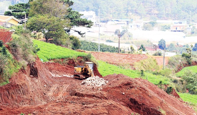 Dùng xe cơ giới san ủi, phân lô đất nông nghiệp trái phép tại Đà Lạt ảnh 3