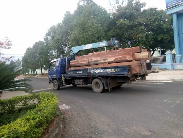 Hàng loạt cán bộ nhúng chàm vụ trùm gỗ lậu Phượng 'râu' ảnh 1