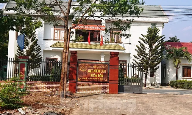 Hàng loạt cán bộ nhúng chàm vụ trùm gỗ lậu Phượng 'râu' ảnh 2