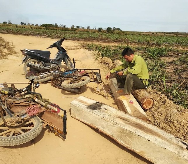 Kiểm lâm vườn quốc gia Yok Đôn liên tiếp bị lâm tặc tấn công ảnh 1