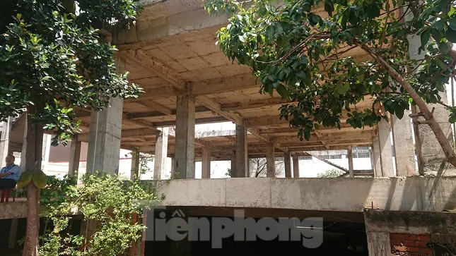 Bỏ hoang đất 'vàng' do năng lực yếu, hay cố tình không thu hồi? ảnh 7