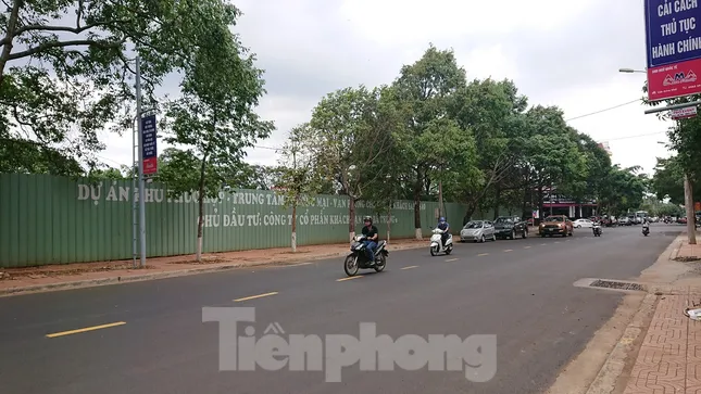 Bỏ hoang đất 'vàng' do năng lực yếu, hay cố tình không thu hồi? ảnh 2
