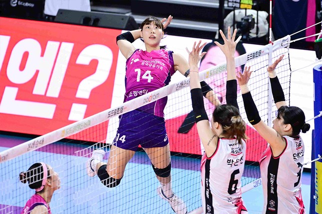 Nóng: Giải Bóng chuyền Nữ VĐQG Hàn Quốc 2024/25 phát độc quyền trên FPT Play ảnh 3