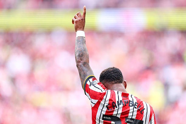 Sunderland trở lại Ngoại hạng Anh nhờ bàn thắng phút bù giờ của cầu thủ 19 tuổi ảnh 17