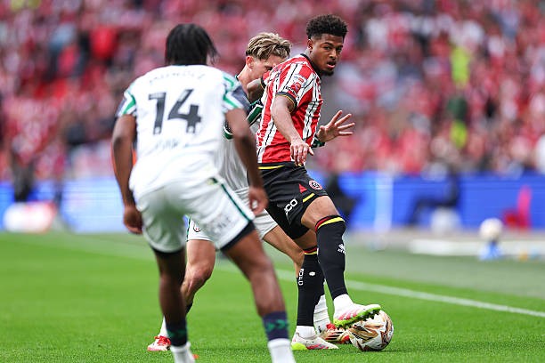 Sunderland trở lại Ngoại hạng Anh nhờ bàn thắng phút bù giờ của cầu thủ 19 tuổi ảnh 9