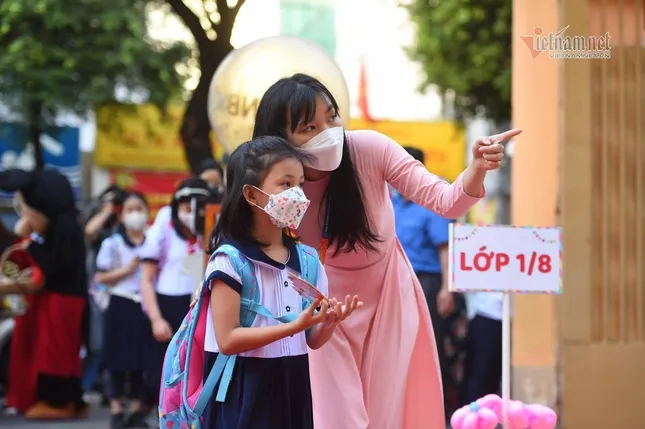 Giáo viên TPHCM có lương cao nhất cả nước, có người nhận hơn 400 triệu đồng/năm ảnh 1