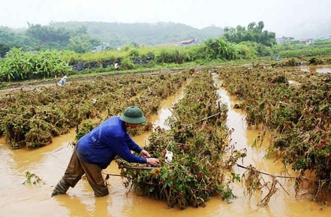 Quy định mới về giá điện, đăng ký thuế từ tháng 2 ảnh 4