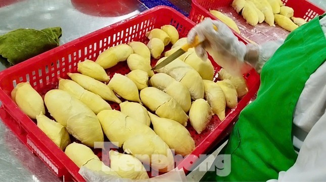Báo động sầu riêng; bức xúc cả chợ Ninh Hiệp bán hàng giả ảnh 5
