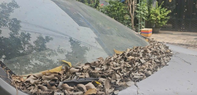 Xe 7 chỗ 'chết lâm sàng' cả năm trước nhà dân, công an TPHCM tìm chủ nhân ảnh 1