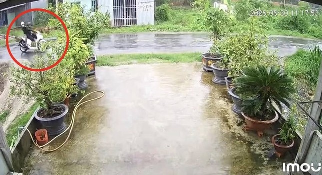 Cây phượng ngã đổ làm đứt dây điện, khiến 2 người bị điện giật tử vong ảnh 3