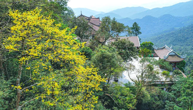 Chi tiết 54 đơn vị hành chính mới sau sáp nhập của Quảng Ninh ảnh 7