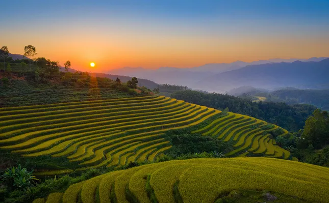Chi tiết 54 đơn vị hành chính mới sau sáp nhập của Quảng Ninh ảnh 5