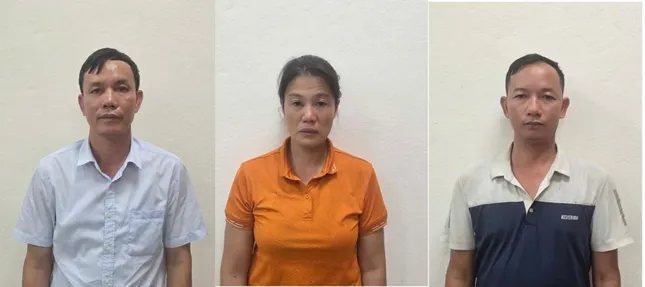 Bắt Giám đốc Công ty Lâm nghiệp Hoành Bồ cùng hai thuộc cấp- Ảnh 1.