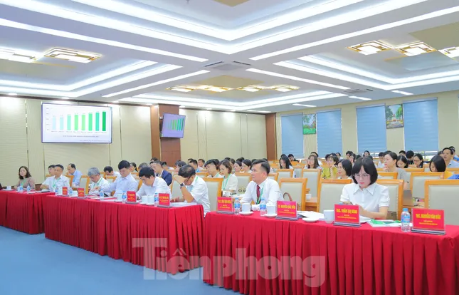 Bàn cách giải cứu hệ sinh thái môi trường nông thôn ảnh 2