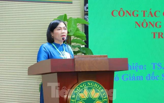 Bàn cách giải cứu hệ sinh thái môi trường nông thôn ảnh 4