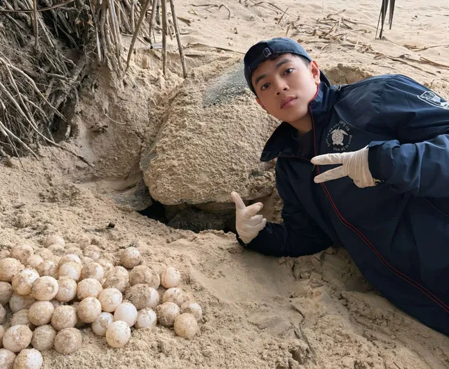 Nam thanh niên &apos;đỡ đẻ&apos; cho rùa ảnh 1