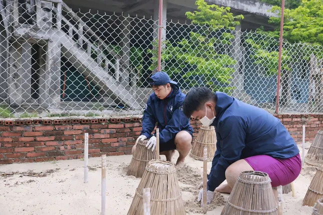 Nam thanh niên &apos;đỡ đẻ&apos; cho rùa ảnh 5