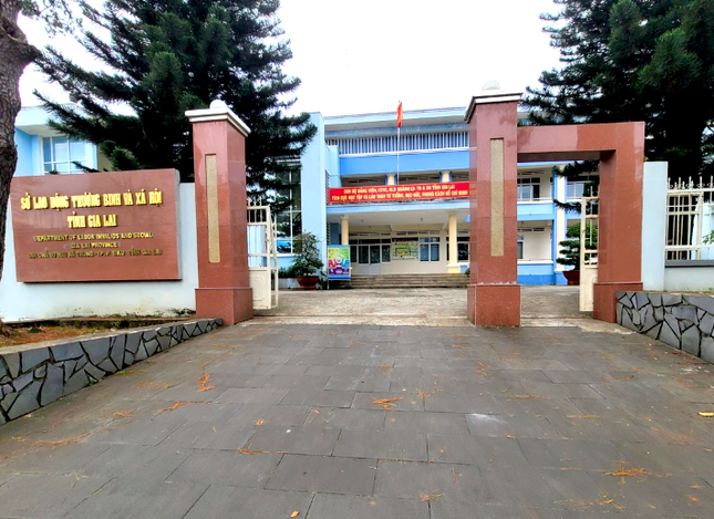 Gia Lai: Xem xét cho nghỉ hưu sớm 11 giám đốc, phó giám đốc sở ảnh 1