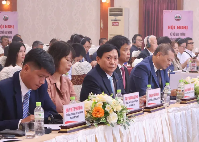 Gia Lai kết nối giao thương với doanh nghiệp nước ngoài ảnh 3