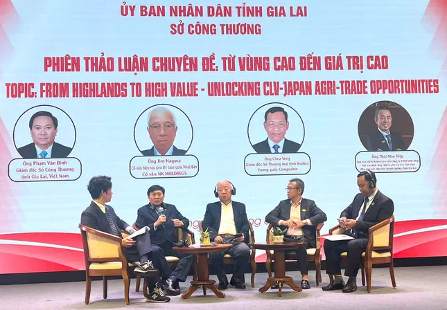 Gia Lai kết nối giao thương với doanh nghiệp nước ngoài ảnh 1