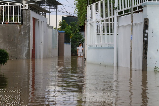 Bão tan nhưng dân phố biển Nha Trang vẫn bì bõm nơi nước ngập ảnh 3
