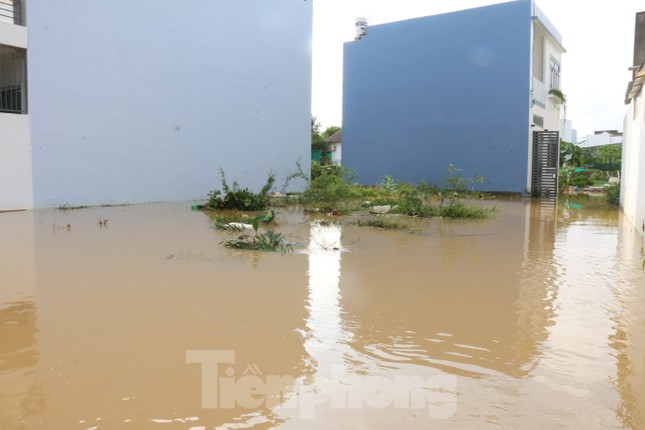 Bão tan nhưng dân phố biển Nha Trang vẫn bì bõm nơi nước ngập ảnh 4