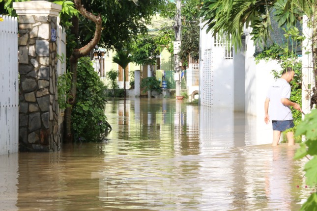 Bão tan nhưng dân phố biển Nha Trang vẫn bì bõm nơi nước ngập ảnh 5