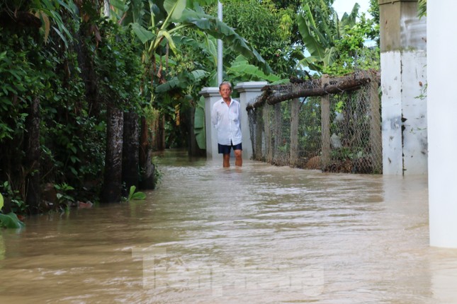 Bão tan nhưng dân phố biển Nha Trang vẫn bì bõm nơi nước ngập ảnh 6
