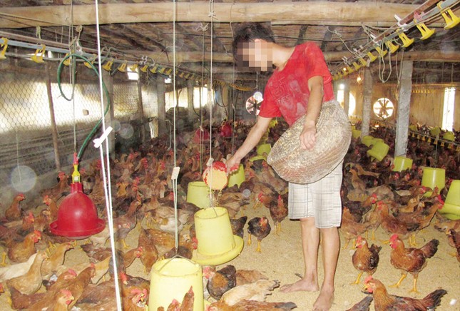 Bữa ăn ngập kháng sinh ảnh 1