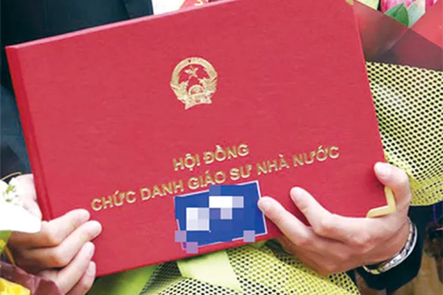 Rà soát giáo sư, cần thanh tra độc lập ảnh 1