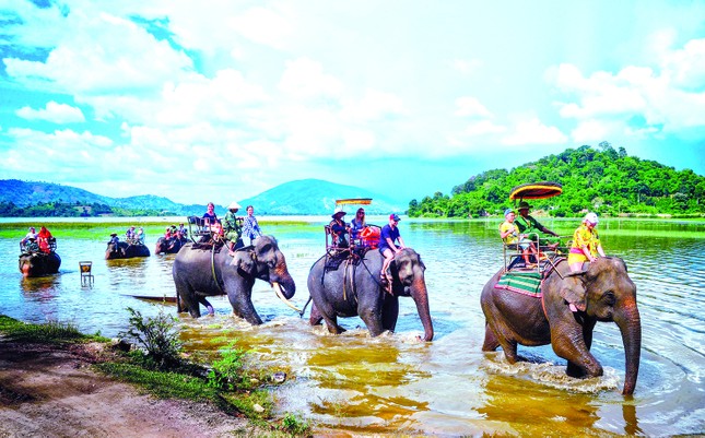 Bí thư Huyện ủy trúng tuyển và khát vọng đánh thức tiềm năng ảnh 2