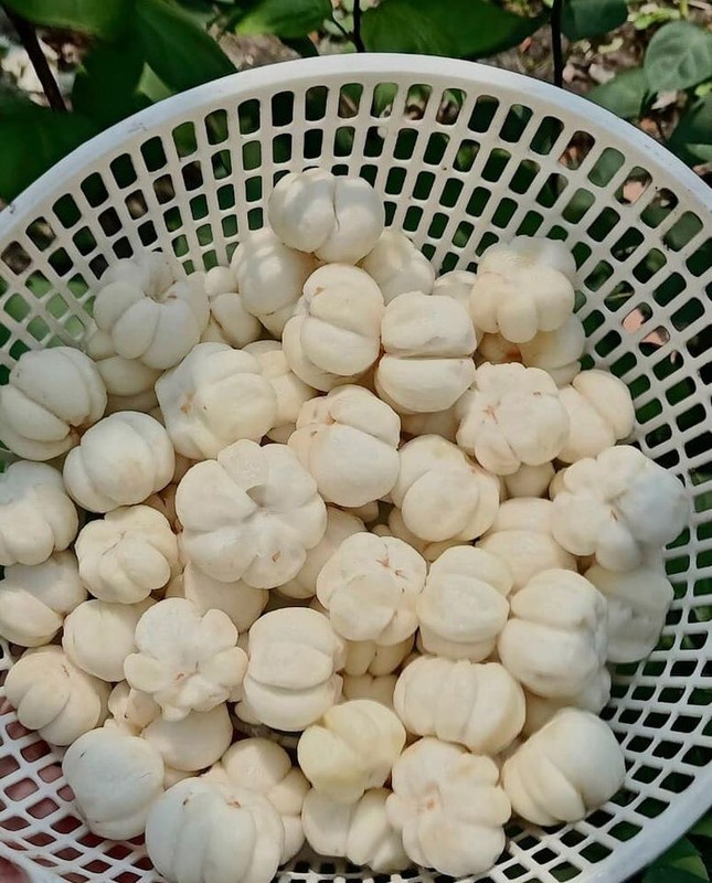 Khắp nơi