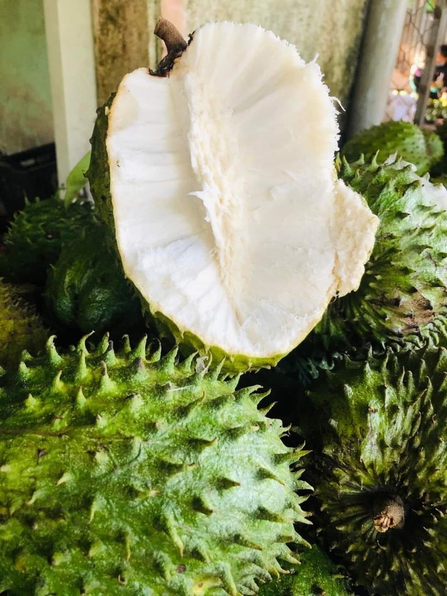 Khắp nơi