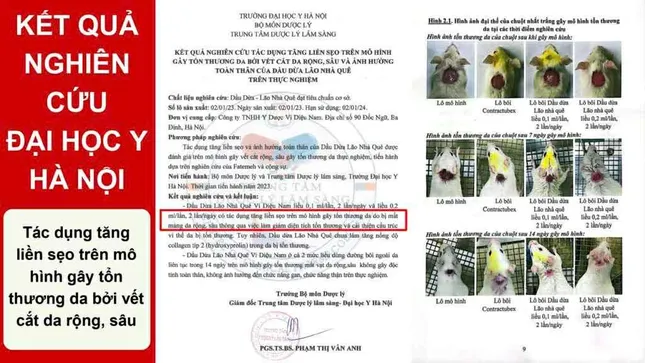 Dầu dừa có thực sự tốt? Nghiên cứu về hiệu quả phục hồi tổn thương da ảnh 2