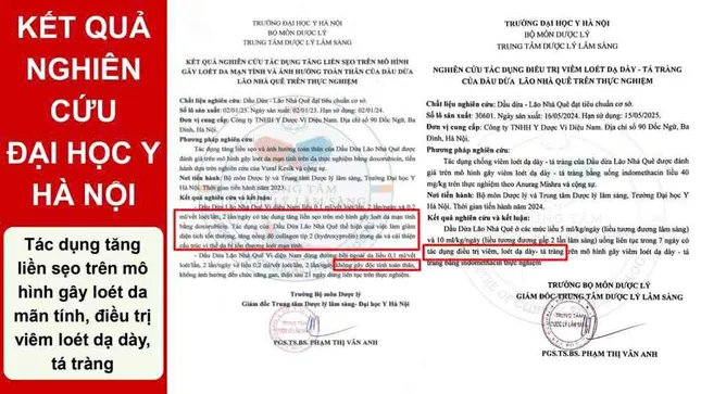 Dầu dừa có thực sự tốt? Nghiên cứu về hiệu quả phục hồi tổn thương da ảnh 3