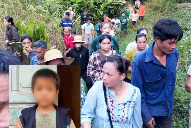 Huy động cả trăm người tìm cháu bé 6 tuổi mất tích trong rừng sâu ảnh 1