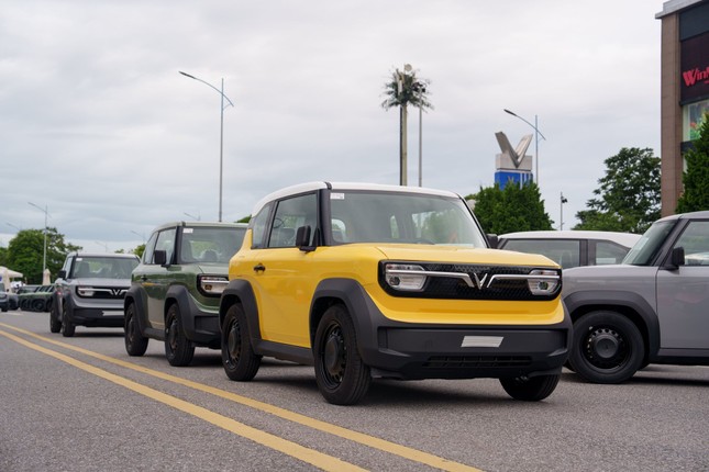 Nhu cầu xe điện hóa của người Việt tăng mạnh ảnh 1