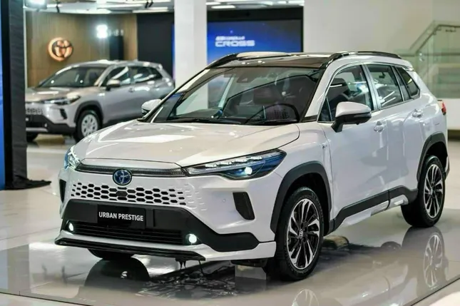 Điểm sáng thị trường ô tô Việt Nam ảnh 2