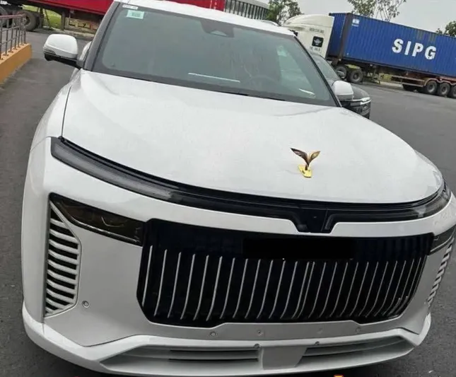 Lộ tên gọi mẫu xe đặc biệt mới của VinFast ảnh 1