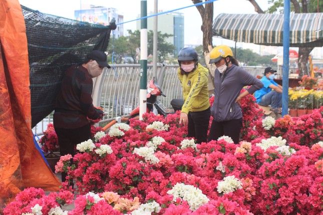 Chợ 'hét giá' hơn nửa triệu/nải chuối, nhiều người đổ vào siêu thị tìm mua- Ảnh 5.