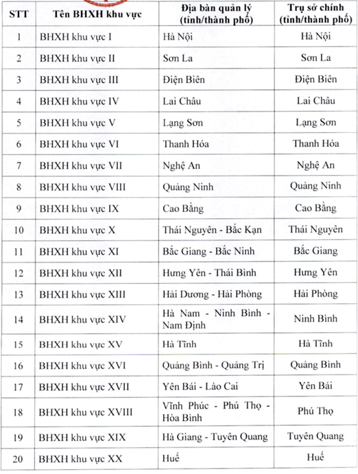 Bảo hiểm xã hội Việt Nam có bộ máy mới ảnh 1