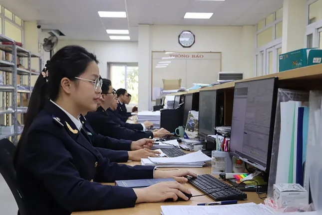 Tạm dừng làm thủ tục hải quan từ 22h ngày mai ảnh 1