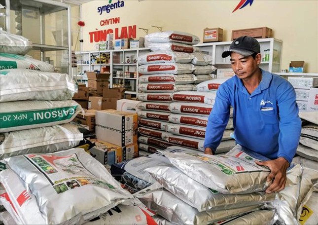 Đại phẫu 'vua' trái cây tỷ USD - Bài 1: Vì sao Cục Bảo vệ thực vật phớt lờ cảnh báo? ảnh 2