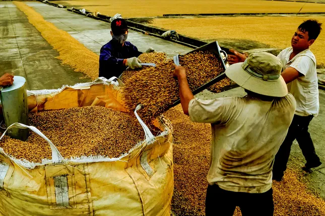 Nỗi lo siêu thị, chợ mạng ảnh 1