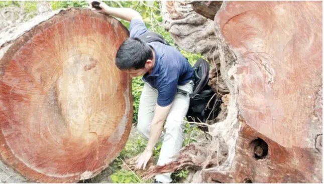 Tôi - và những phận người bị bỏ quên ảnh 2