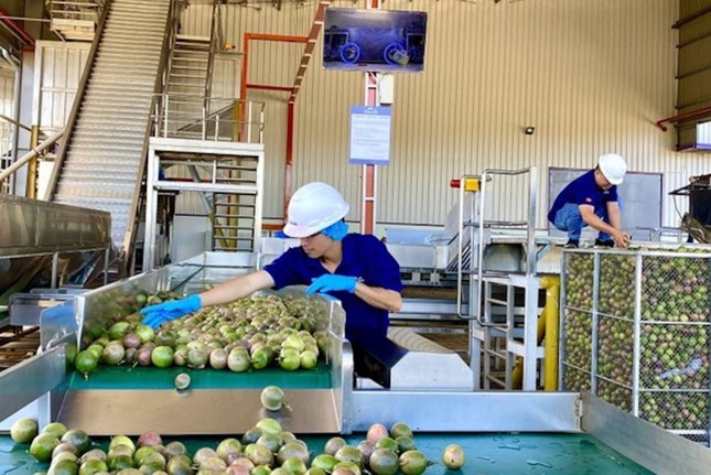 Ngành Công Thương Gia Lai đẩy mạnh dịch vụ logistics ảnh 2
