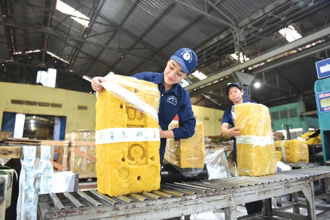 (21-6) Vững bước vượt khó, kiến tạo sức bật mới ảnh 1