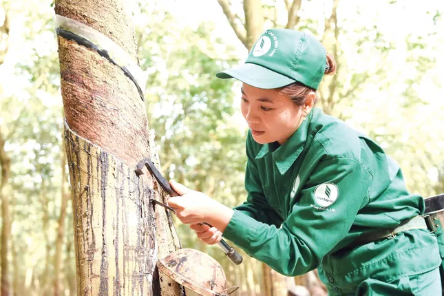 (21-6) Vững bước vượt khó, kiến tạo sức bật mới ảnh 2