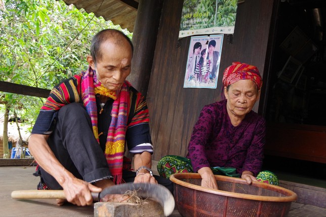 Ly kỳ chuyện tử hình voi “thiếu úy” ảnh 1