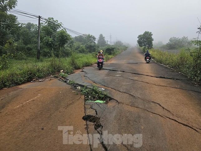 Đường tiền tỷ bỏ hoang gây lãng phí ở phố thị hoa vàng ảnh 2